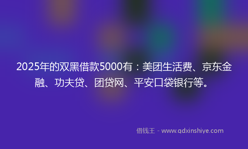 2025年的双黑借款5000有：美团生活费、京东金融、功夫贷、团贷网、平安口袋银行等。