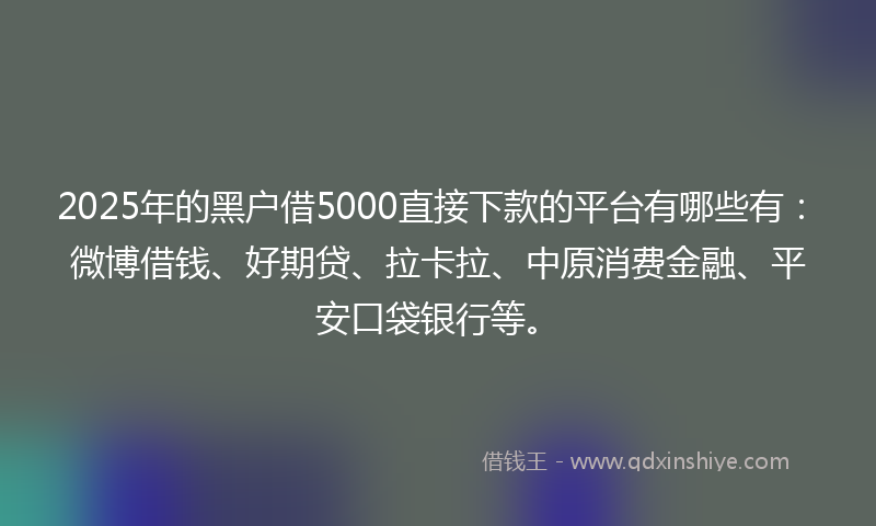 2025年的黑户借5000直接下款的平台有哪些有：微博借钱、好期贷、拉卡拉、中原消费金融、平安口袋银行等。