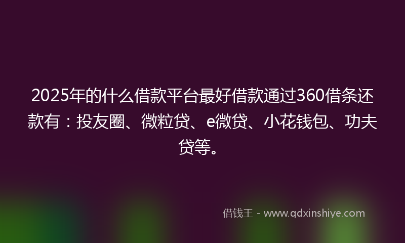 2025年的什么借款平台最好借款通过360借条还款有：投友圈、微粒贷、e微贷、小花钱包、功夫贷等。