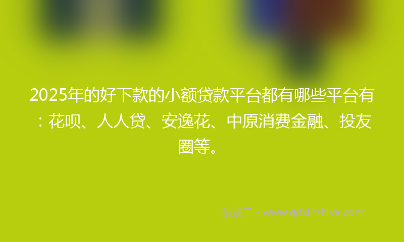 2025年的好下款的小额贷款平台都有哪些平台有：花呗、人人贷、安逸花、中原消费金融、投友圈等。