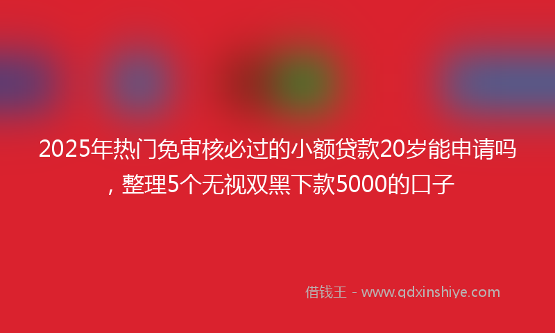 2025年热门免审核必过的小额贷款20岁能申请吗，整理5个无视双黑下款5000的口子