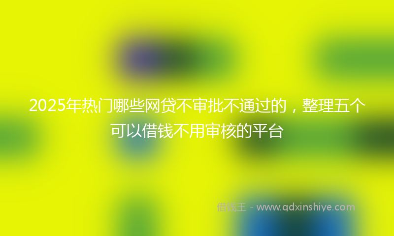 2025年热门哪些网贷不审批不通过的，整理五个可以借钱不用审核的平台