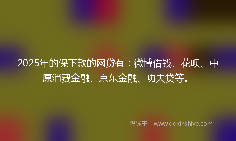 2025年的保下款的网贷有：微博借钱、花呗、中原消费金融、京东金融、功夫贷等。