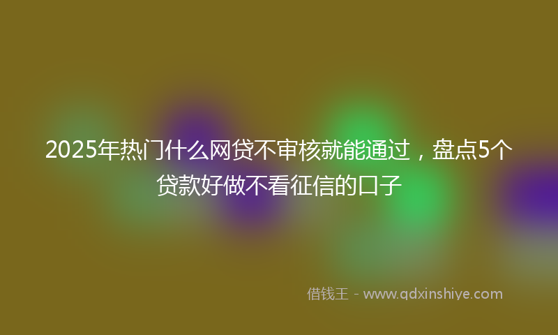 2025年热门什么网贷不审核就能通过，盘点5个贷款好做不看征信的口子