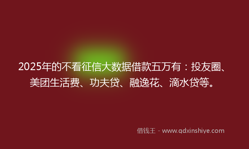 2025年的不看征信大数据借款五万有：投友圈、美团生活费、功夫贷、融逸花、滴水贷等。