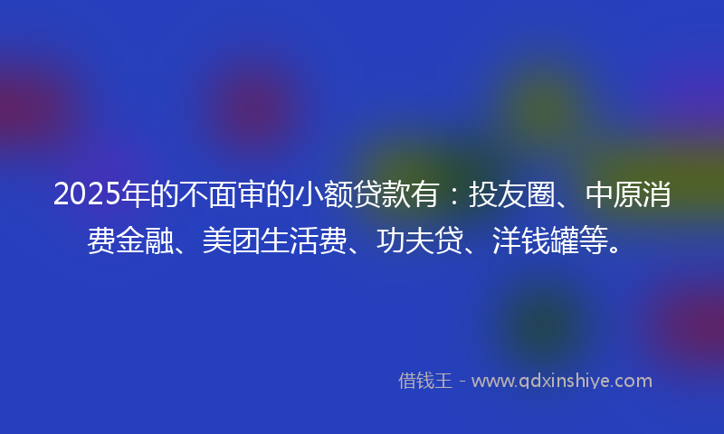 2025年的不面审的小额贷款有：投友圈、中原消费金融、美团生活费、功夫贷、洋钱罐等。