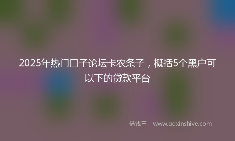 2025年热门口子论坛卡农条子，概括5个黑户可以下的贷款平台