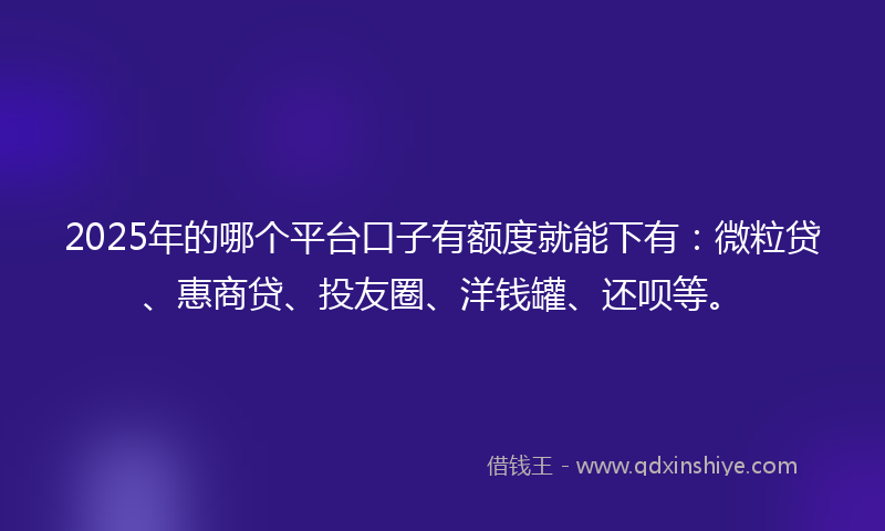 2025年的哪个平台口子有额度就能下有：微粒贷、惠商贷、投友圈、洋钱罐、还呗等。