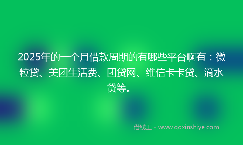 2025年的一个月借款周期的有哪些平台啊有：微粒贷、美团生活费、团贷网、维信卡卡贷、滴水贷等。