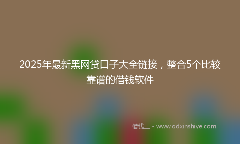 2025年最新黑网贷口子大全链接，整合5个比较靠谱的借钱软件