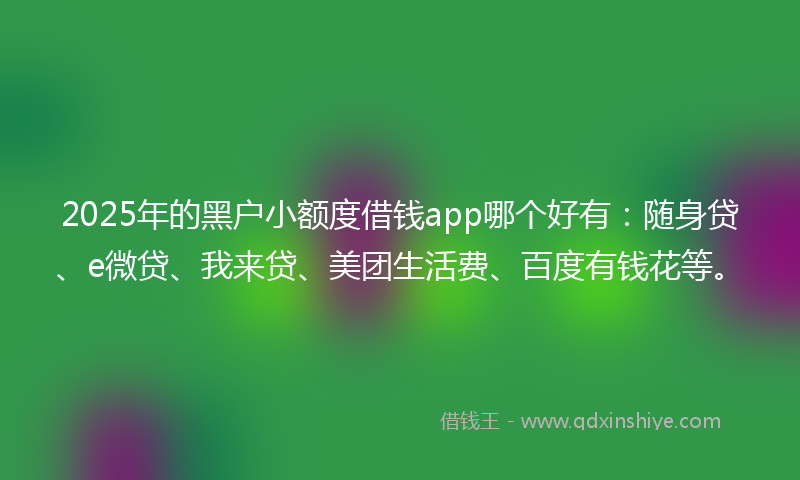 2025年的黑户小额度借钱app哪个好有：随身贷、e微贷、我来贷、美团生活费、百度有钱花等。