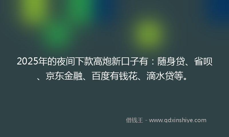 2025年的夜间下款高炮新口子有：随身贷、省呗、京东金融、百度有钱花、滴水贷等。