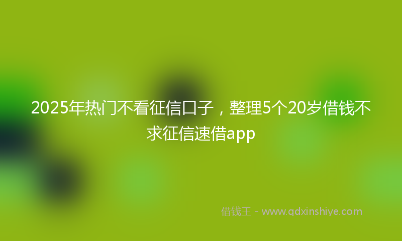 2025年热门不看征信口子，整理5个20岁借钱不求征信速借app