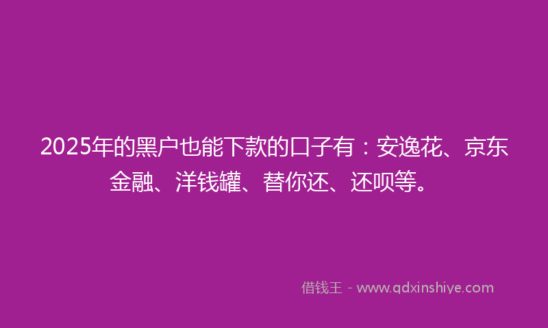 2025年的黑户也能下款的口子有：安逸花、京东金融、洋钱罐、替你还、还呗等。