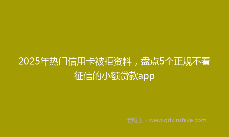 2025年热门信用卡被拒资料，盘点5个正规不看征信的小额贷款app