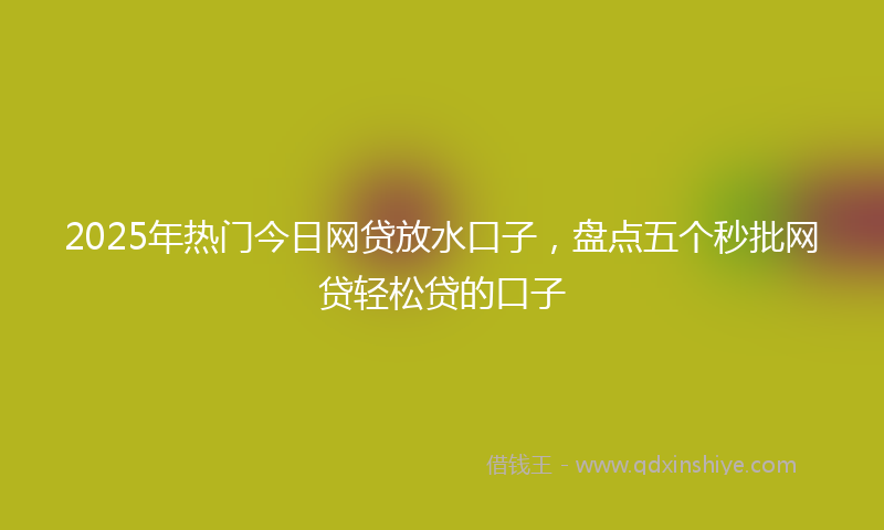 2025年热门今日网贷放水口子，盘点五个秒批网贷轻松贷的口子