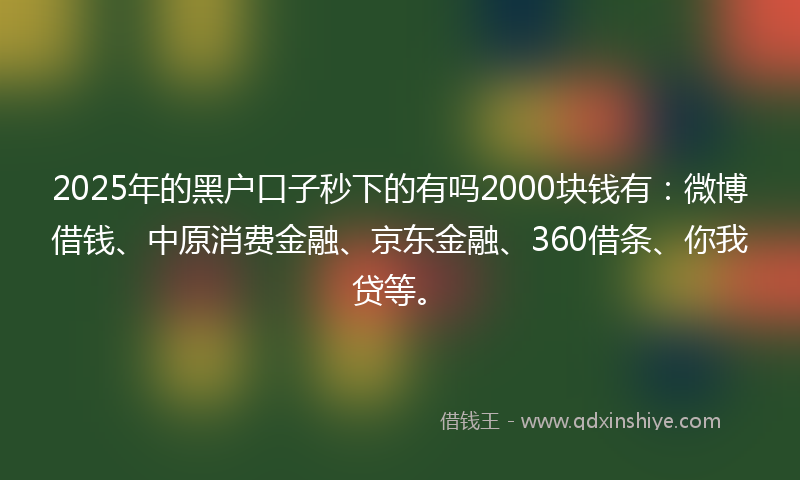 2025年的黑户口子秒下的有吗2000块钱有：微博借钱、中原消费金融、京东金融、360借条、你我贷等。