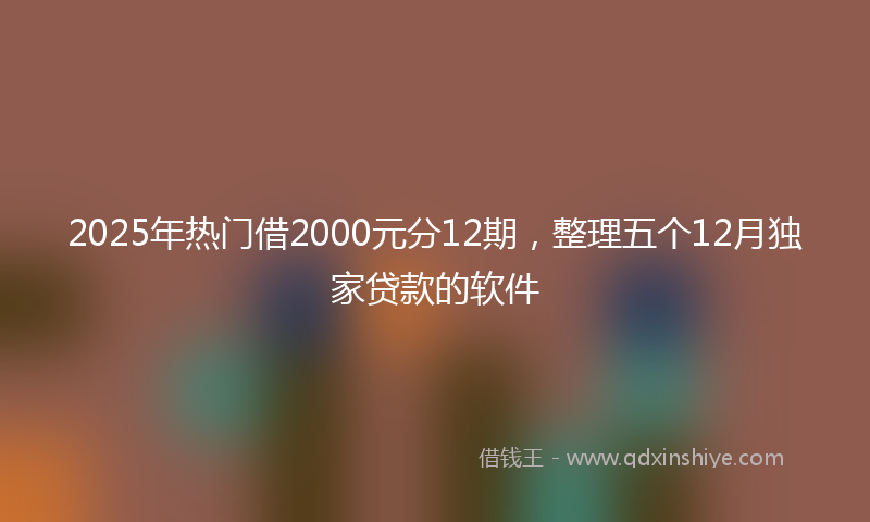 2025年热门借2000元分12期，整理五个12月独家贷款的软件