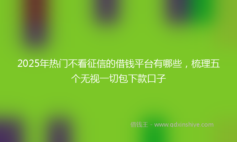 2025年热门不看征信的借钱平台有哪些，梳理五个无视一切包下款口子