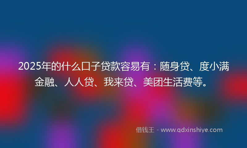 2025年的什么口子贷款容易有：随身贷、度小满金融、人人贷、我来贷、美团生活费等。