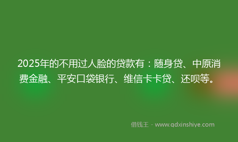2025年的不用过人脸的贷款有：随身贷、中原消费金融、平安口袋银行、维信卡卡贷、还呗等。