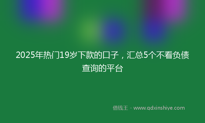 2025年热门19岁下款的口子，汇总5个不看负债查询的平台