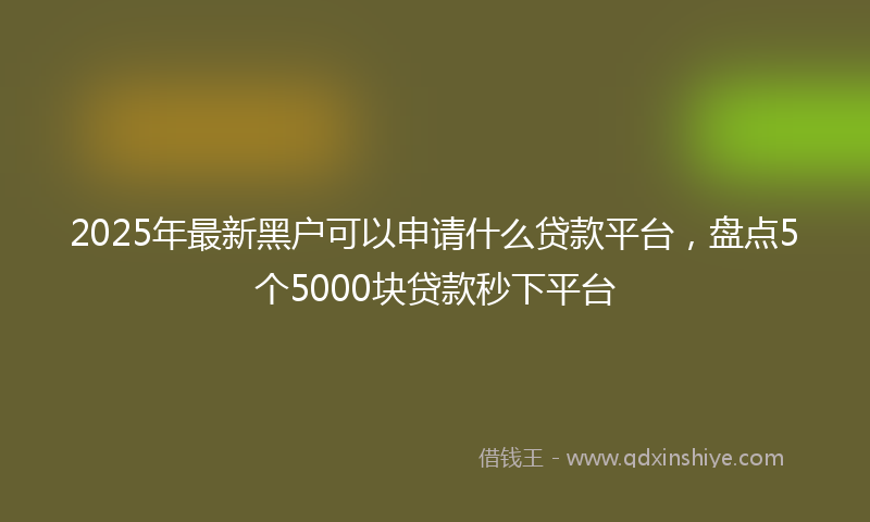 2025年最新黑户可以申请什么贷款平台，盘点5个5000块贷款秒下平台