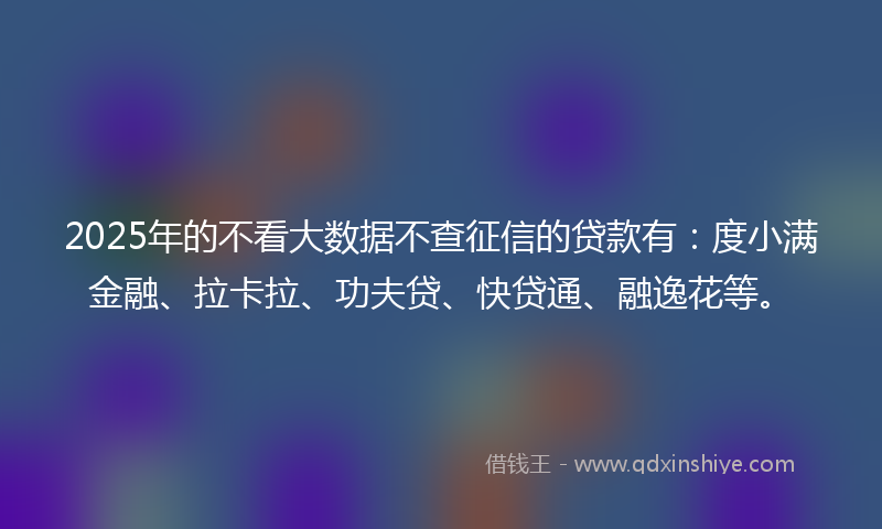 2025年的不看大数据不查征信的贷款有：度小满金融、拉卡拉、功夫贷、快贷通、融逸花等。