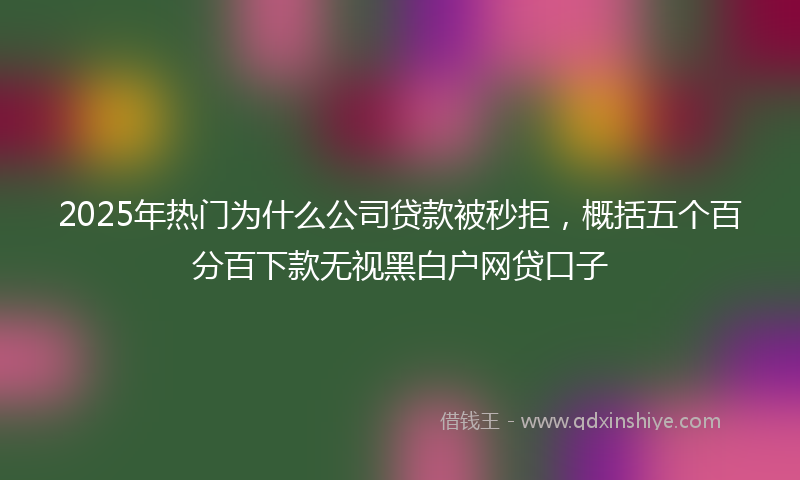 2025年热门为什么公司贷款被秒拒，概括五个百分百下款无视黑白户网贷口子
