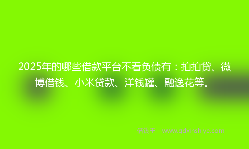2025年的哪些借款平台不看负债有：拍拍贷、微博借钱、小米贷款、洋钱罐、融逸花等。