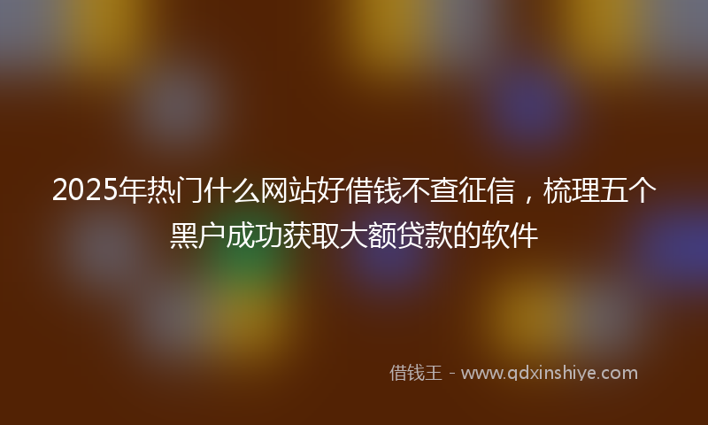 2025年热门什么网站好借钱不查征信，梳理五个黑户成功获取大额贷款的软件