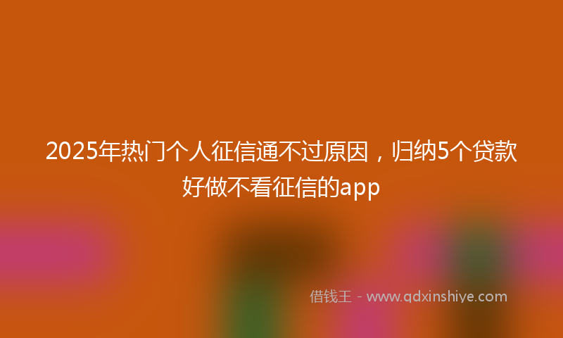 2025年热门个人征信通不过原因，归纳5个贷款好做不看征信的app