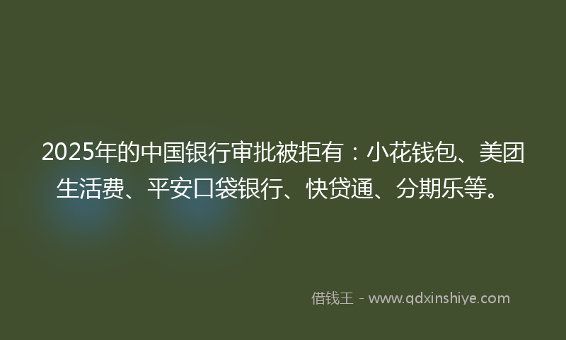 2025年的中国银行审批被拒有：小花钱包、美团生活费、平安口袋银行、快贷通、分期乐等。
