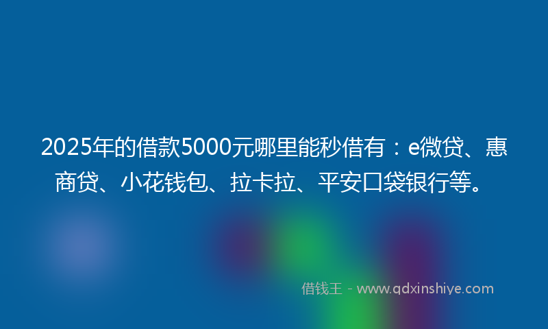 2025年的借款5000元哪里能秒借有：e微贷、惠商贷、小花钱包、拉卡拉、平安口袋银行等。