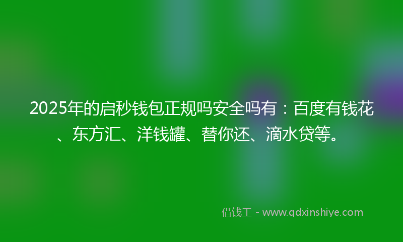 2025年的启秒钱包正规吗安全吗有：百度有钱花、东方汇、洋钱罐、替你还、滴水贷等。