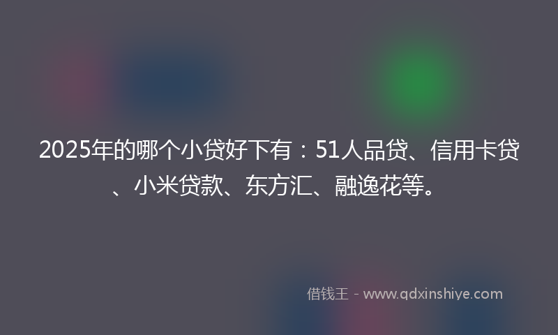 2025年的哪个小贷好下有：51人品贷、信用卡贷、小米贷款、东方汇、融逸花等。