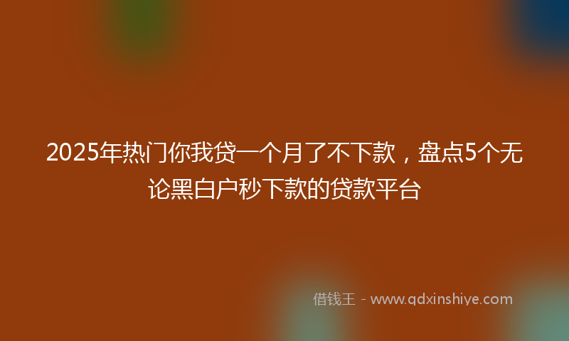 2025年热门你我贷一个月了不下款，盘点5个无论黑白户秒下款的贷款平台