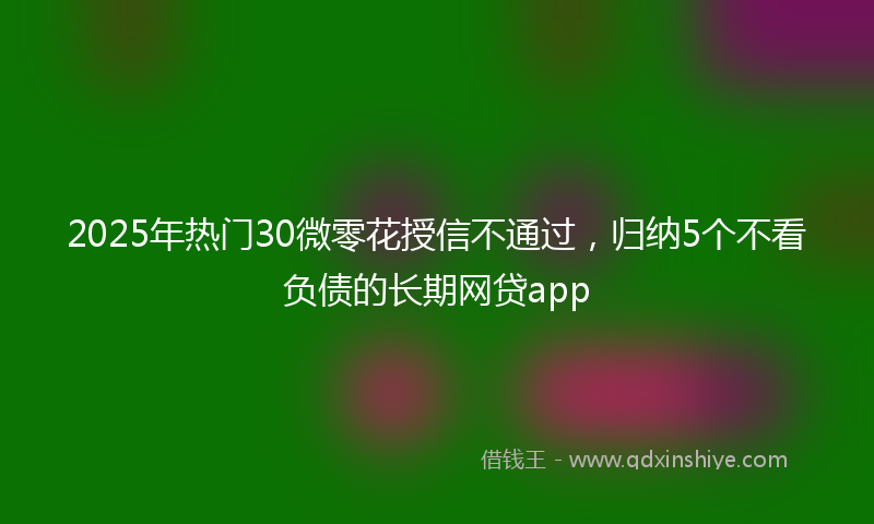 2025年热门30微零花授信不通过，归纳5个不看负债的长期网贷app