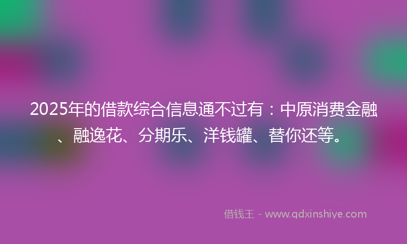 2025年的借款综合信息通不过有：中原消费金融、融逸花、分期乐、洋钱罐、替你还等。