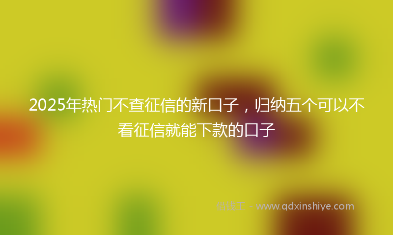 2025年热门不查征信的新口子，归纳五个可以不看征信就能下款的口子