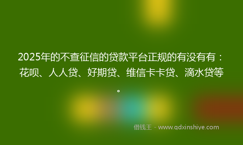 2025年的不查征信的贷款平台正规的有没有有：花呗、人人贷、好期贷、维信卡卡贷、滴水贷等。
