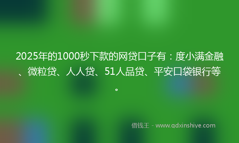 2025年的1000秒下款的网贷口子有：度小满金融、微粒贷、人人贷、51人品贷、平安口袋银行等。