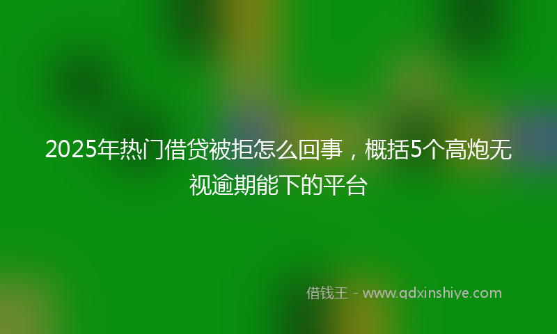 2025年热门借贷被拒怎么回事，概括5个高炮无视逾期能下的平台