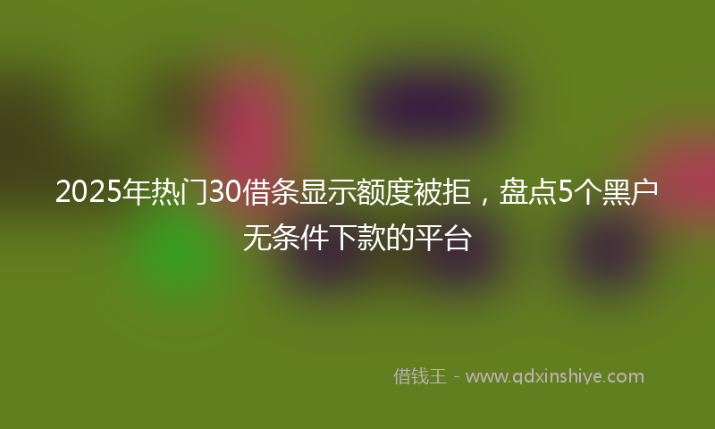 2025年热门30借条显示额度被拒，盘点5个黑户无条件下款的平台