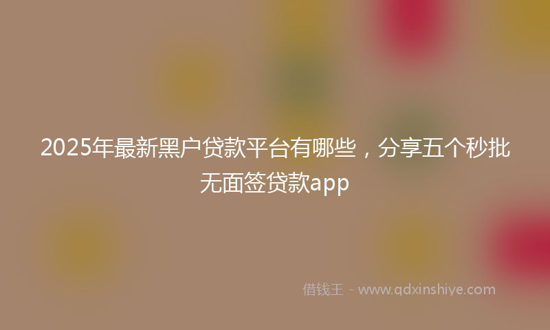 2025年最新黑户贷款平台有哪些，分享五个秒批无面签贷款app