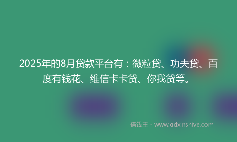 2025年的8月贷款平台有：微粒贷、功夫贷、百度有钱花、维信卡卡贷、你我贷等。