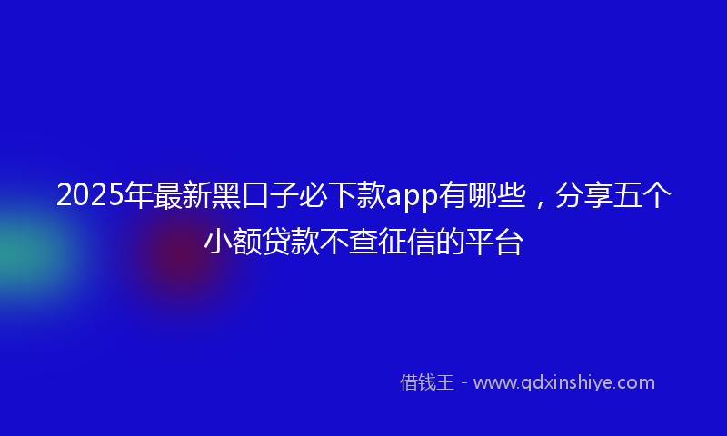 2025年最新黑口子必下款app有哪些，分享五个小额贷款不查征信的平台