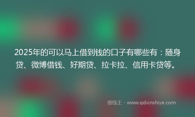2025年的可以马上借到钱的口子有哪些有：随身贷、微博借钱、好期贷、拉卡拉、信用卡贷等。
