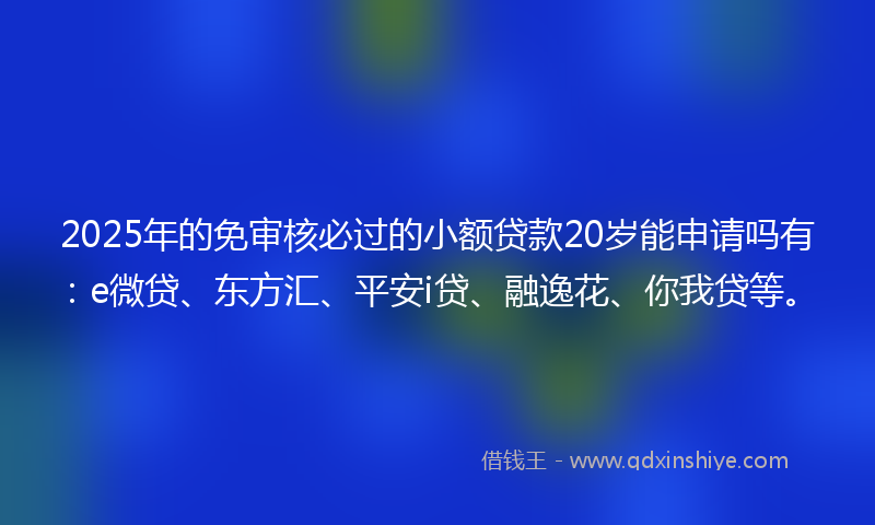 2025年的免审核必过的小额贷款20岁能申请吗有：e微贷、东方汇、平安i贷、融逸花、你我贷等。