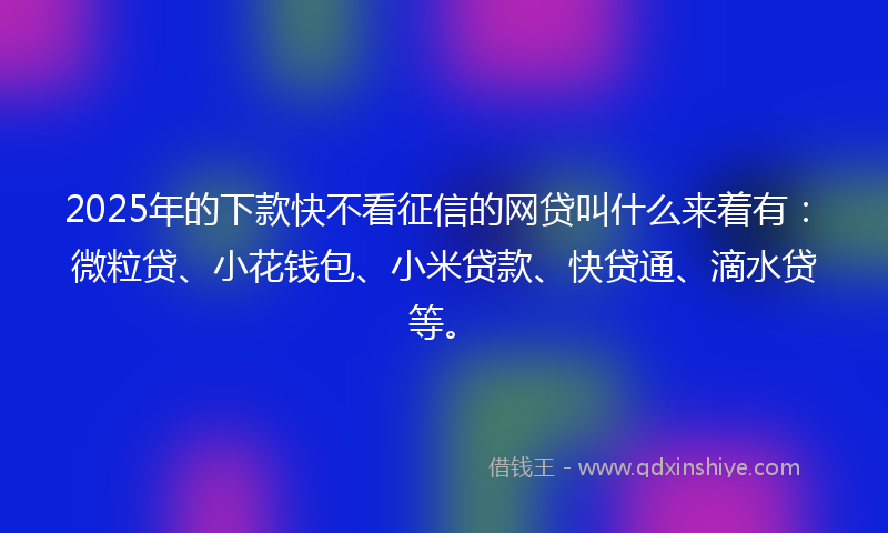 2025年的下款快不看征信的网贷叫什么来着有：微粒贷、小花钱包、小米贷款、快贷通、滴水贷等。